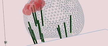 Vitalicum Urologie Schwerpunkte